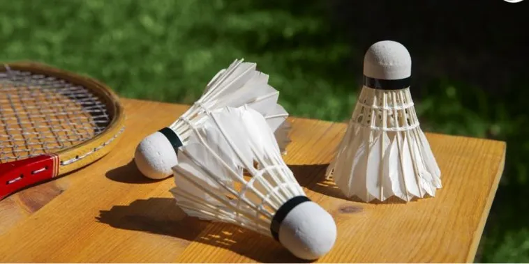 Bí Kíp Cách Chơi Cá Cược Cầu Lông Tại V6Bet Ăn Tiền Thật