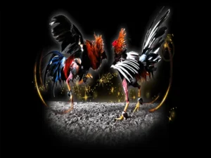 Bí Kíp Chơi Đá Gà Sabong Tại V6Bet Chắc Thắng