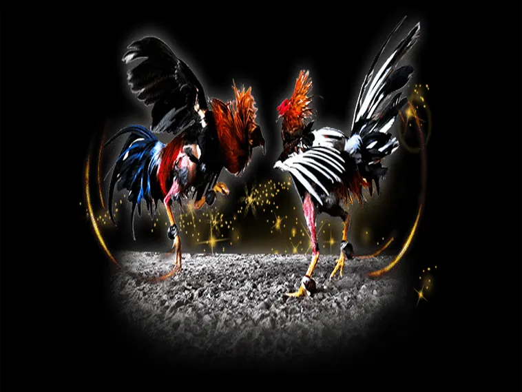 Bí Kíp Chơi Đá Gà Sabong Tại V6Bet Chắc Thắng