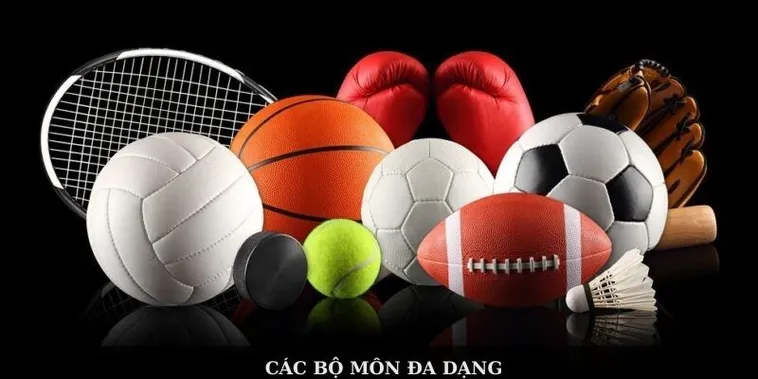 Thể Thao V6Bet Đỉnh Cao Giải Trí Đẳng Cấp Cho Bet Thủ